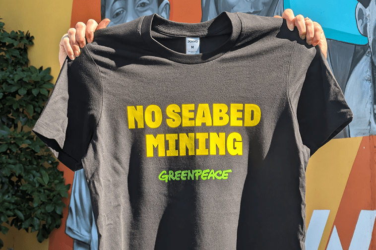 Standing Up for Oceans, Together: Our Collaboration with Greenpeace Aotearoa