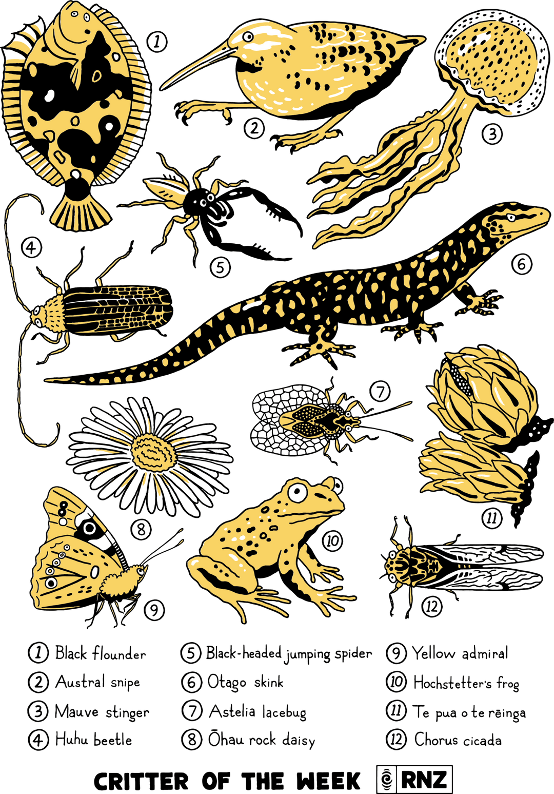 Joyya - 2026 Critter of the Week Pouch - Bags - Natural - Critter Of The Week - COTW26-B-NL