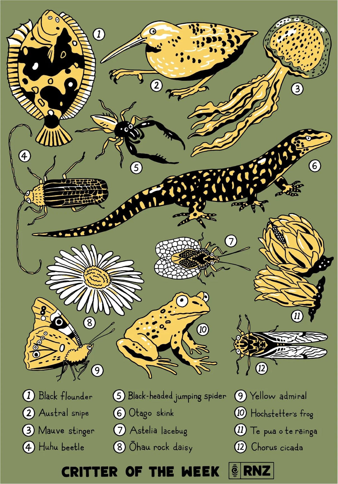 Joyya - 2026 Female Critter of the Week T-shirt - T-Shirt - XS - Critter Of The Week - COTW26-W-EGXS